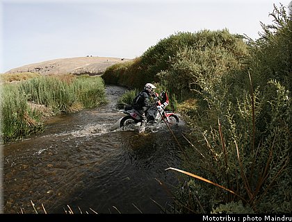 dakar_2010_delaunay.jpg
