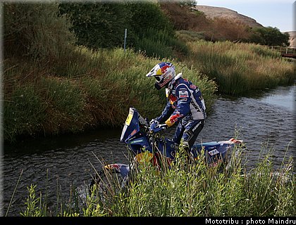 dakar_2010_despres_01.jpg