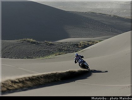 dakar_2010_despres_09.jpg