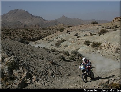 dakar_2010_fretigne_08.jpg