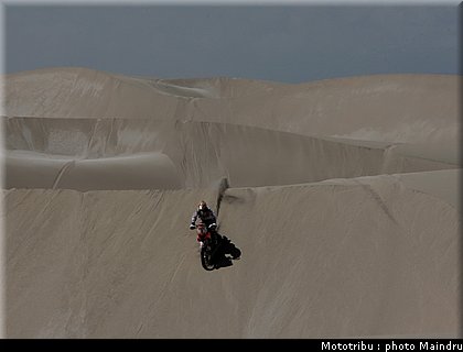 dakar_2010_goncalves.jpg