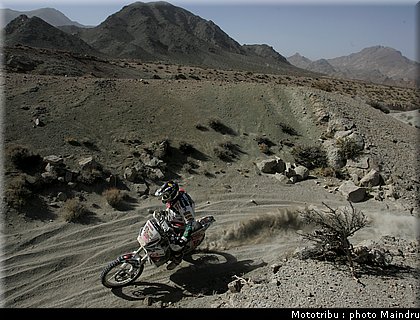dakar_2010_pelicer_1.jpg