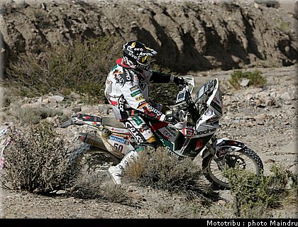 dakar_2010_pelicer_2.jpg