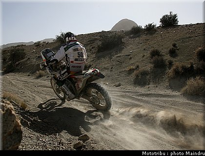 dakar_2010_pelicer_3.jpg