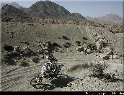 dakar_2010_pelicer_4.JPG