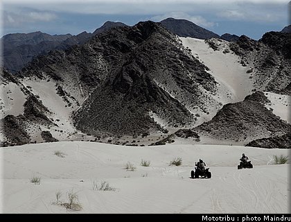 dakar_2010_quads_01.jpg