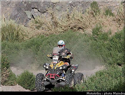 dakar_2010_quads_05.jpg
