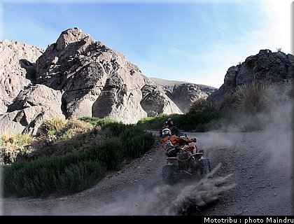 dakar_2010_quads_06.jpg