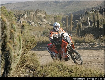 dakar_2010_saghmeister_2.JPG