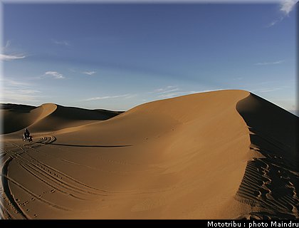 dakar_2010_west_2.jpg