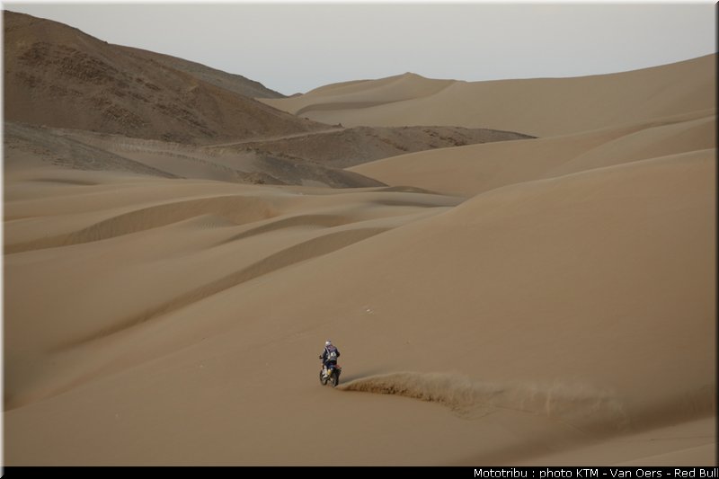 despres_014_dakar_2010