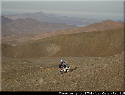 despres_021_dakar_2010.jpg