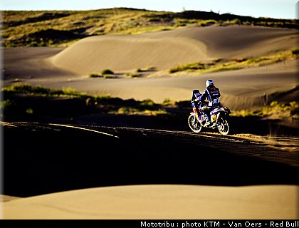 despres_032_dakar_2010.jpg