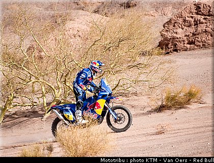 despres_053_dakar_2010.jpg