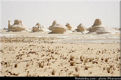 rallye_pharaons_021_2010.JPG