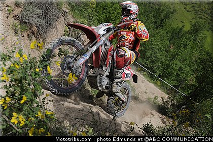 ewc_plekkenpol_2_italie_2010.jpg