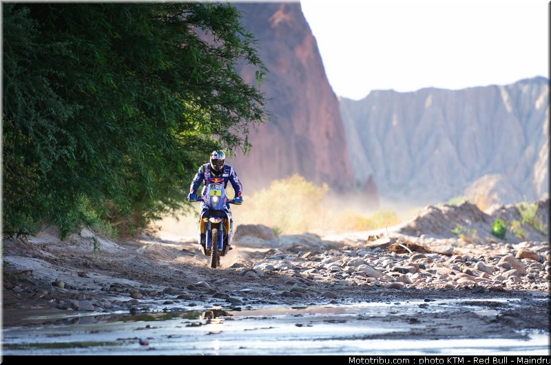 dakar_2011_despres_38