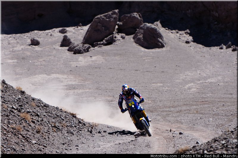 dakar_2011_despres_39