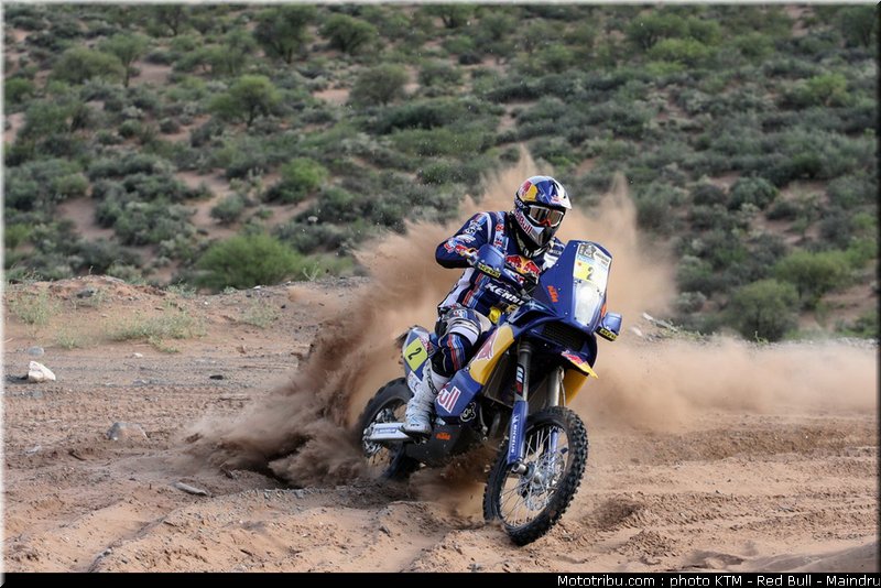 dakar_2011_despres_42