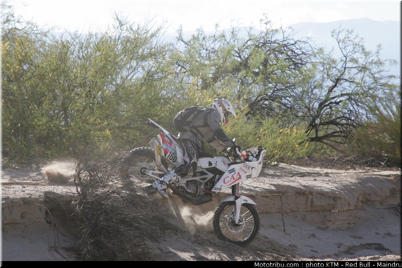 dakar_2011_lejeune
