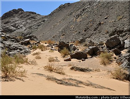 dakar_2011_reco_chili_027.JPG