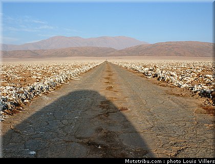 dakar_2011_reco_chili_029.JPG