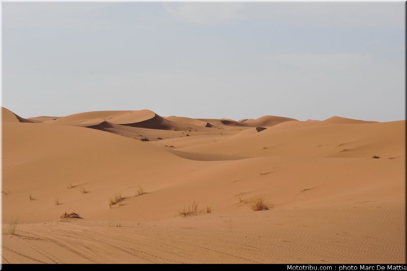 014_rallye_du_maroc_2011