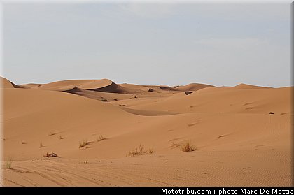 014_rallye_du_maroc_2011.jpg