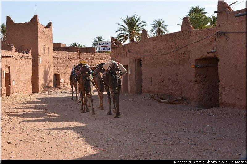 ambiance_004_rallye_du_maroc_2012