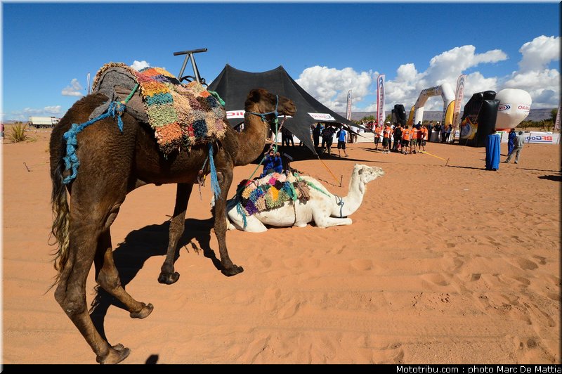 ambiance_008_rallye_du_maroc_2012