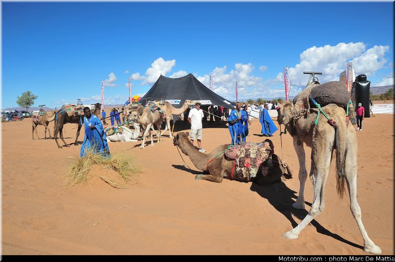 ambiance_043_rallye_du_maroc_2012