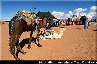 ambiance_008_rallye_du_maroc_2012.jpg