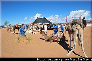 ambiance_043_rallye_du_maroc_2012.jpg