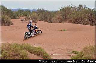 despres_009_rallye_du_maroc_2012.jpg