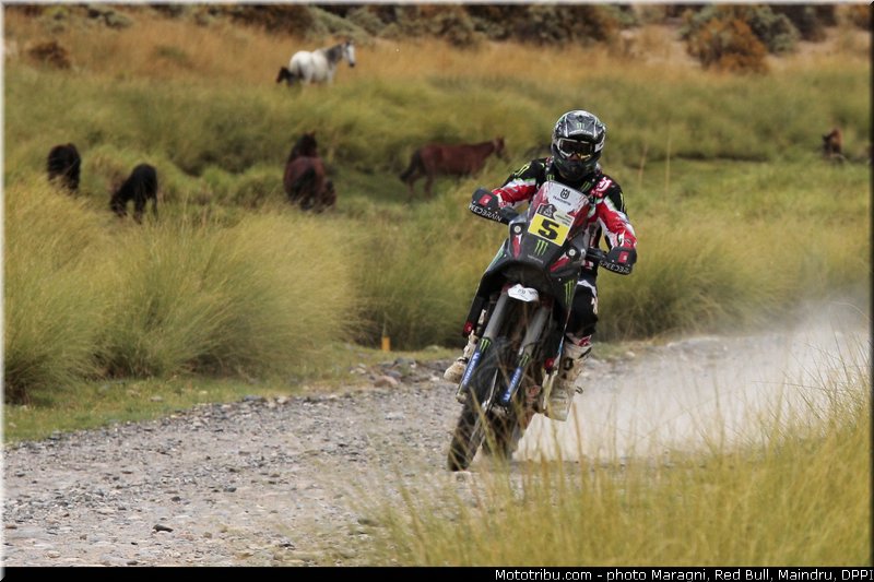 barreda_0099_dakar_2013