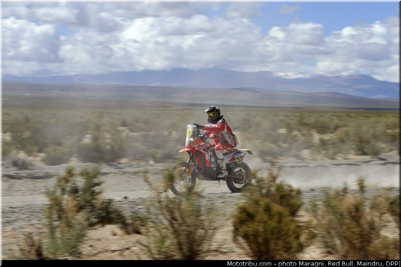 campbell_0007_dakar_2013