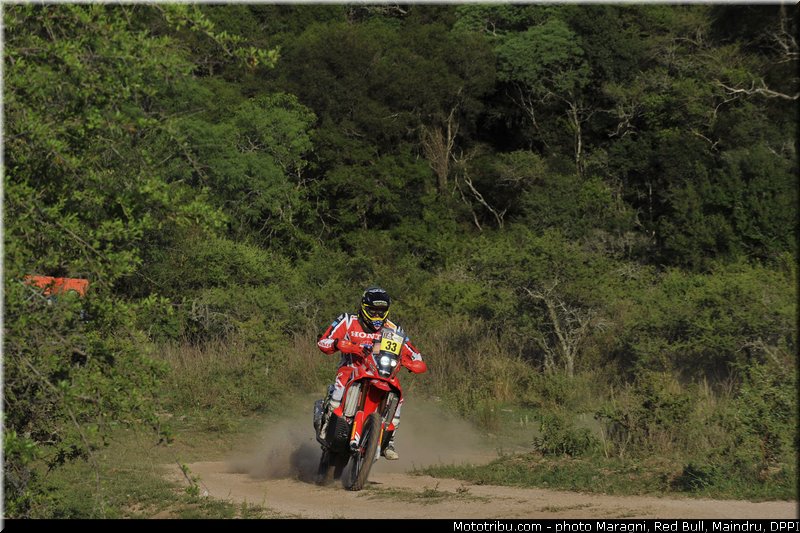 campbell_0013_dakar_2013