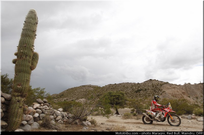 campbell_0040_dakar_2013