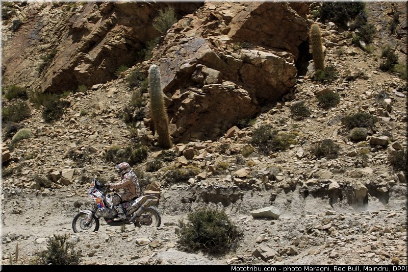 carevic_0001_dakar_2013