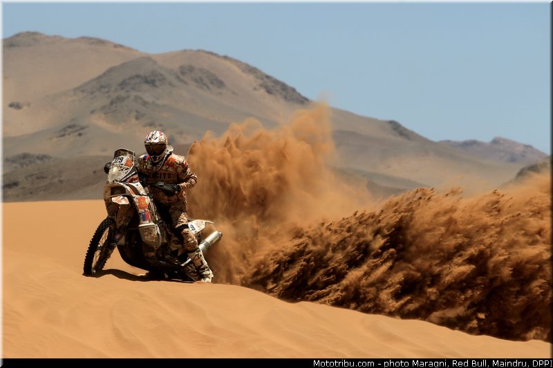 carevic_0002_dakar_2013