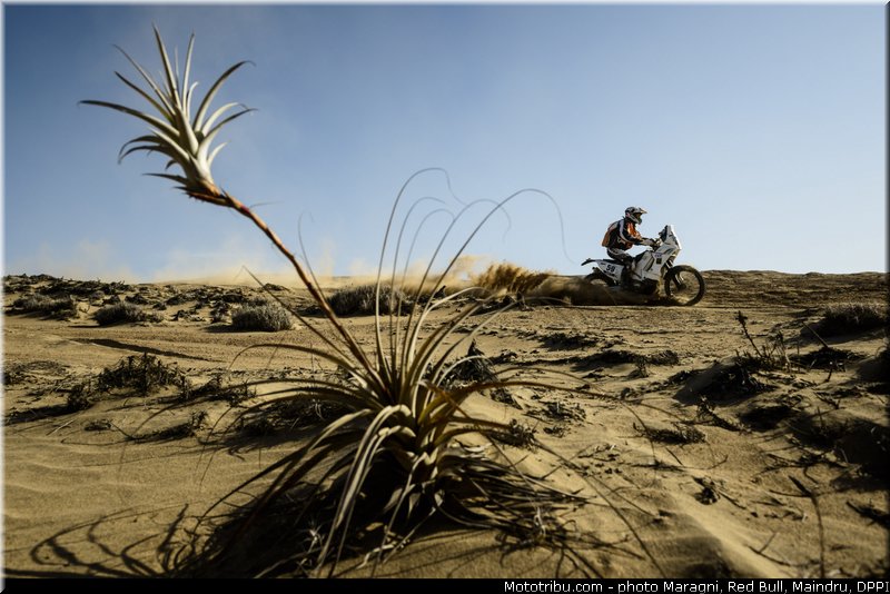 carillon_0002_dakar_2013