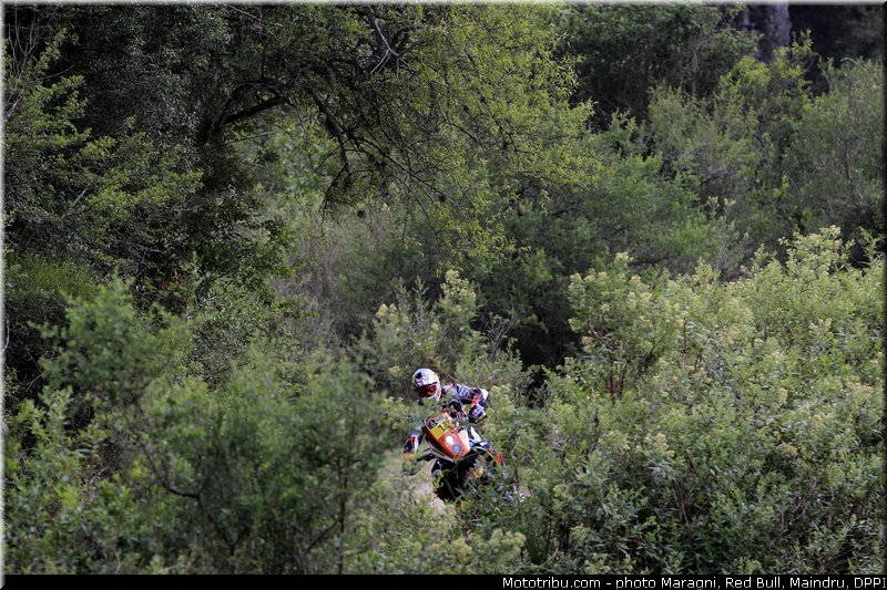 despres_0007_dakar_2013