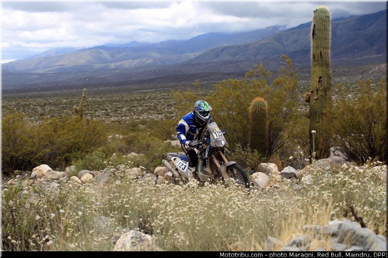 faggotter_0001_dakar_2013