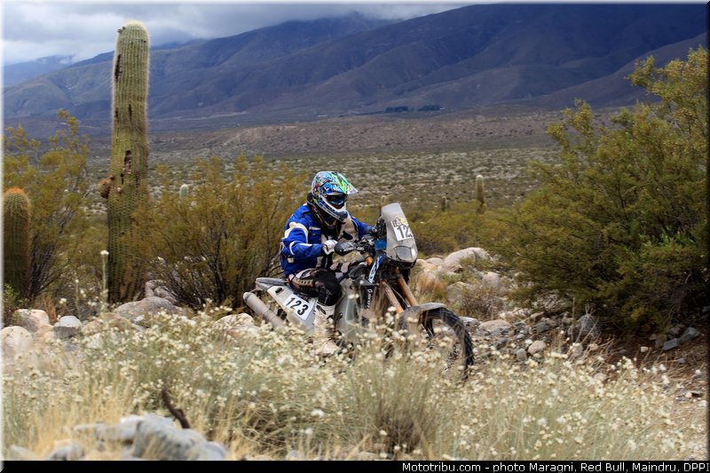 faggotter_0002_dakar_2013