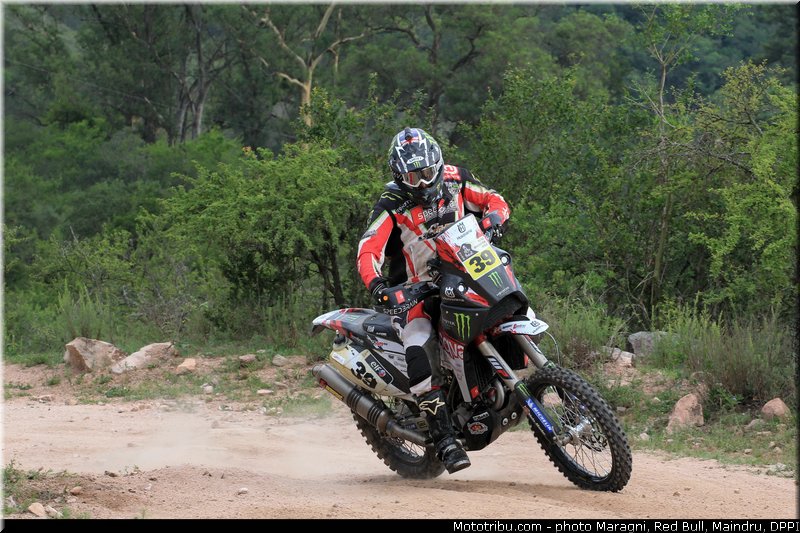 fish_0002_dakar_2013
