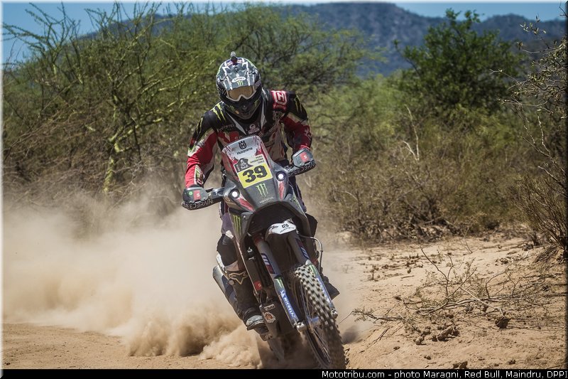 fish_0008_dakar_2013