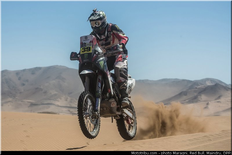 fish_0019_dakar_2013