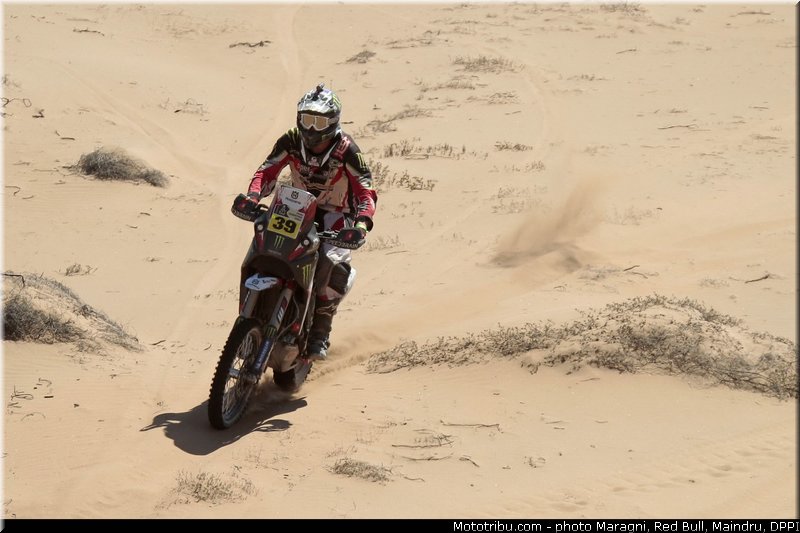 fish_0022_dakar_2013