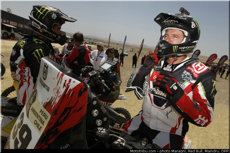 fish_0023_dakar_2013