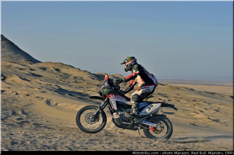 fish_0034_dakar_2013